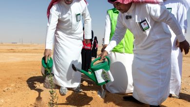 محليات السعودية: المركز الوطني لتنمية الغطاء النباتي ومكافحة التصحر بالحدود الشمالية يدشن “موسم التشجير الوطني ” 2024م