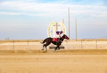 محليات السعودية: ميدان فروسية الجبيل يقيم سباقه الثاني للموسم الحالي ١٤٤٦ هـ