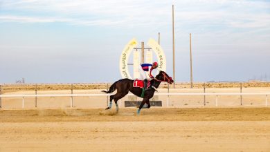 محليات السعودية: ميدان فروسية الجبيل يقيم سباقه الثاني للموسم الحالي ١٤٤٦ هـ