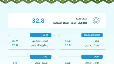 محليات السعودية: “البيئة” ترصد هطول أمطار في (8) مناطق.. والحدود الشمالية تسجّل أعلى كمية بـ (32.8) ملم في عرعر