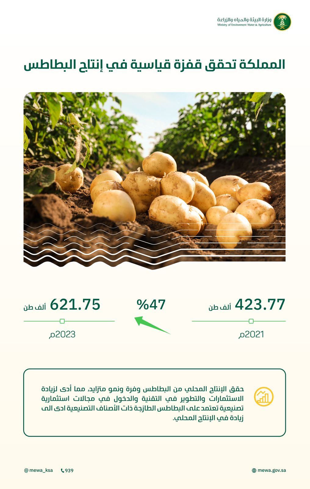 محليات السعودية: إنتاج البطاطس يقفز 47% خلال عامين.. بلغ 621 ألف طن في 2023م – من المنطقة الشرقية أخبار السعودية إلى العالم