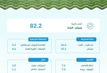 محليات السعودية: البيئة” ترصد هطول أمطار في (7) مناطق.. والباحة تسجّل أعلى كمية بـ (82.2) ملم في بلجرشي