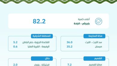 محليات السعودية: البيئة” ترصد هطول أمطار في (7) مناطق.. والباحة تسجّل أعلى كمية بـ (82.2) ملم في بلجرشي