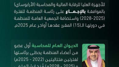 محليات السعودية: المملكة رئيسًا للمنظمة العربية للأجهزة العليا للرقابة المالية والمحاسبة “الأرابوساي” للفترة ( 2025 – 2028 )