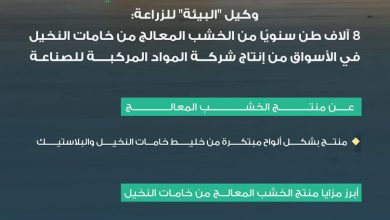 محليات السعودية: مشروع الخشب المعالج من خامات النخيل خطوة بارزة نحو توطين الصناعة ودعم الاقتصاد الدائري – من المنطقة الشرقية أخبار السعودية إلى العالم