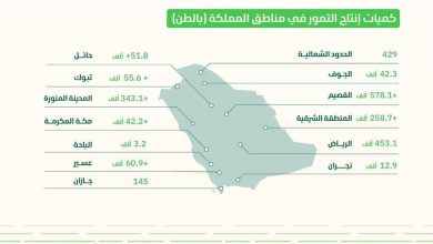 محليات السعودية: إنتاج المملكة من التمور يقترب من مليوني طن في 2023م و “الخلاص” و “السكري” يتصدران بأكثر من مليون طن – صحيفة درة الالكترونية