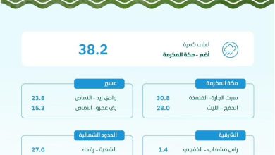 محليات السعودية: “البيئة” ترصد هطول أمطار في (7) مناطق.. ومكة المكرمة تسجّل أعلى كمية بـ (38.2) ملم في أضم