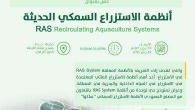 محليات السعودية: المركز الوطني للثروة السمكية يكثف تدريب الكوادر الوطنية – صحيفة درة الالكترونية