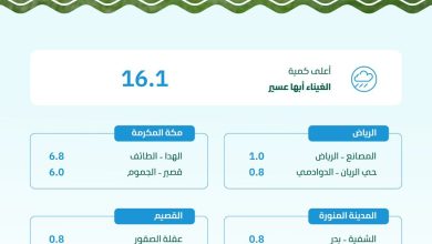 محليات السعودية: ترصد هطول أمطار في (7) مناطق عبر (21) محطة رصد.. و”الغيناء” في عسير تسجل أعلى كمية بـ (16.1) ملم – صحيفة درة الالكترونية