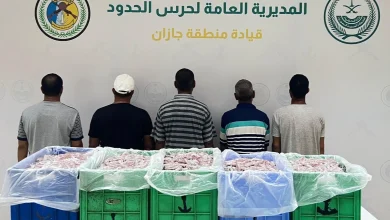 محليات السعودية: حرس الحدود بمنطقة جازان يضبط (5) مقيمين مخالفين للائحة الأمن والسلامة لمزاولي الأنشطة البحرية في المناطق البحرية للمملكة